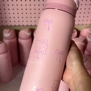 Stainless Water Bottle Insulated
